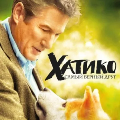 Быстрый взгляд на китайский ремейк «Хатико». «Мой хатико», новинка 2023г. |  Любитель в кино | Дзен