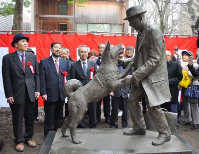 Хатико Самый верный друг / Hachiko: A Dog's Story (2009, фильм) -  «Преданнейшее животное+ скрины» | отзывы