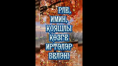 Картинки хәерле иртә красивые на татарском с цветами (70 фото) » Картинки и  статусы про окружающий мир вокруг