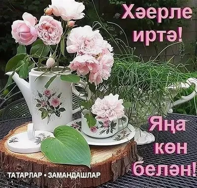 Хэерле иртэ#хэерлеиртэ #доброеутро #рек #лайк | TikTok