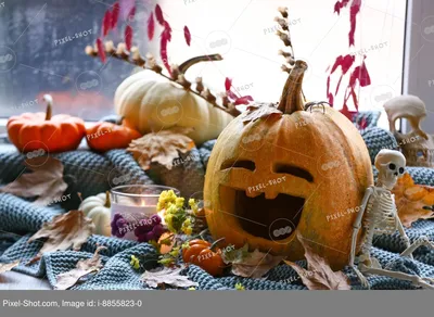 Что посмотреть 31 октября? Хэллоуинские фильмы ужасов, от которых леденеет  кровь | Английские истории с Надин Урусовой: АЯ и другие | Дзен