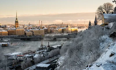 Новый год в Финляндии. Погода в Хельсинки зимой. Кратко об основных плюсах  страны. | 💜Поля Полёт💜 | Дзен