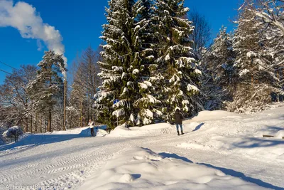 Что посмотреть в Хельсинки зимой