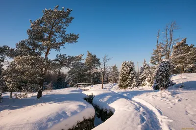 Helsinki Icepark, Хельсинки: лучшие советы перед посещением - Tripadvisor