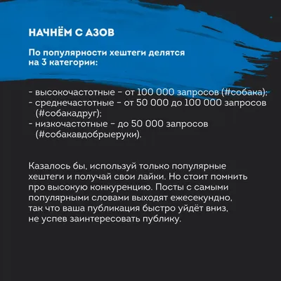 Вест Хайленд Уайт Терьер Собаки Тег Россия PersonaliseDog.com