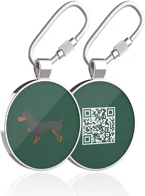 ТЕГ QR-КОДА ДЛЯ СОБАК DOG ID TERRIER TAG купить в Украине купить из Европы  доставка - EuroZakup - Харьков, Одесса, Киев, Львов, Луцк, Днепр, Чернигов,  Тернополь, Ужгород, Сумы, Запорожье, Херсон, Кривой-Рог, Николаев,