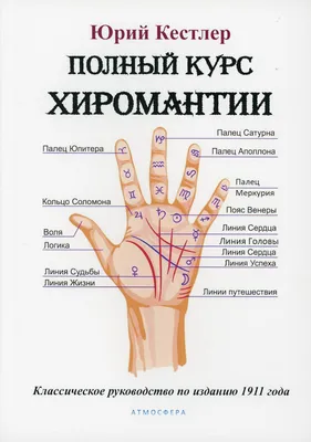 Как читать линии на руках: правила и особенности — Астрология