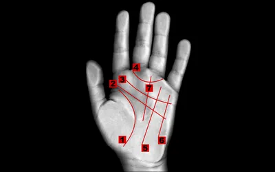 Хиромантия: Линия сердца - главный индикатор любви и романтики» — создано в  Шедевруме
