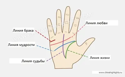 Полный курс хиромантии. Классическое руководство по изданию 1911 года -  купить в Торговый Дом БММ, цена на Мегамаркет