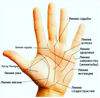 Как познакомиться с девушкой при помощи хиромантии | MAXIM