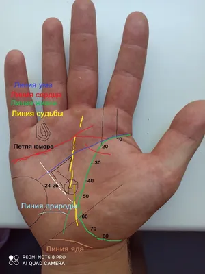 Хиромантия: гадание по линиям на руке с разъяснениями и фото Основы хи |  ВСЯКА РАЗННИЦА 1: | Постила