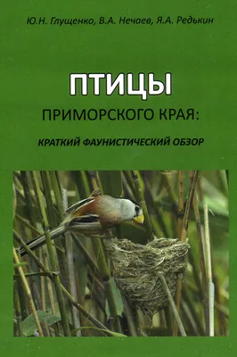 Находка ГО, Приморский край, Сайт газеты Залив Восток, Залив Восток: Птицы.