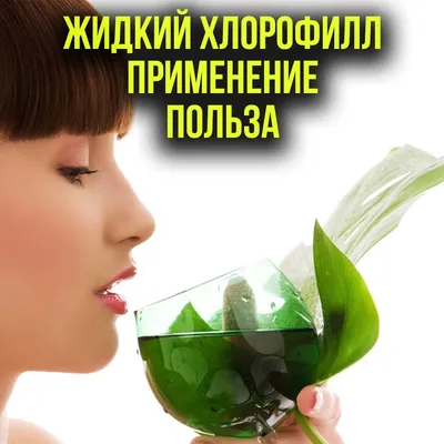 Хлорофитум хохлатый польза для дома (46 фото) - фото - картинки и рисунки:  скачать бесплатно