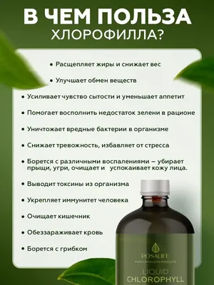 Учёные рассказали о пользе домашних растений для психического здоровья —  Ferra.ru