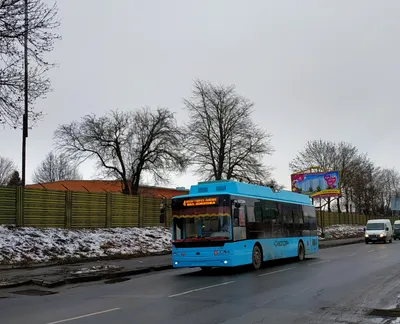 Хмельник, магазин пива, Московский просп., 92Б, Воронеж — Яндекс Карты