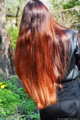 Как создают разные оттенки хны для волос ➤ NILA
