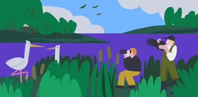 10 цифровых хобби, которые можно завести не выходя из дома - Лайфхакер