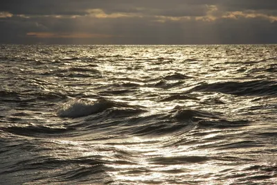 Чёрное море названо самым полезным. Объясняем, почему