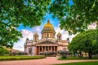 Когда лучше ехать в Питер – какое время (месяц) выбрать для отдыха в Спб