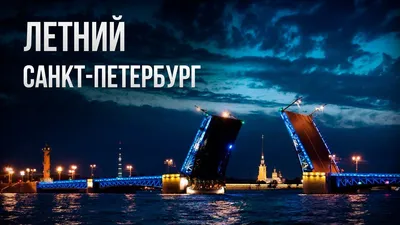 Питер как бомжатник»: скандальный вопрос появился в ходе «прямой линии»  Владимира Путина — Вечерний Питер. Новости Петербурга. Новости Спб. Новости  Санкт-Петербурга