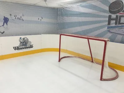 Защита на хоккейные ворота (низ, середина) купить за 14 960.40 руб. в  Иркутске - АвелонСпорт