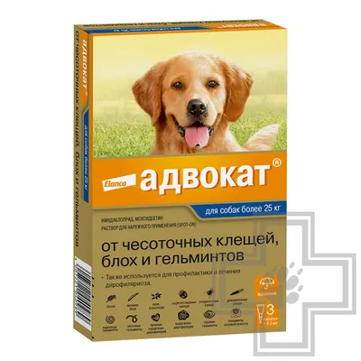 Пчелодар \"Бинакар Форте\" Капли на холку для собак и щенков средних пород  упаковка, 4 пипетки купить по низкой цене с доставкой - БиоСтайл