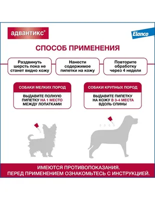 Купить Стронгхолд Капли на холку для собак 12 % (цена за 1 пипетку) -  доставка, цена и наличие в интернет-магазине и аптеках Доктор Вет