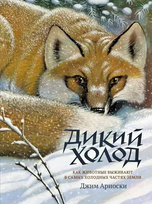 Картина Холод ᐉ Крейчи Татьяна ᐉ онлайн-галерея Molbert.