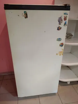 холодильник Донбасс-3