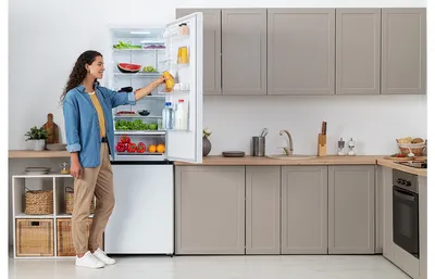 Как выбрать встраиваемый холодильник – критерии, советы и отзывы, лучшие  производители