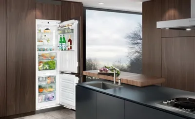 холодильник стоковое изображение. изображение насчитывающей отечественно -  21215507