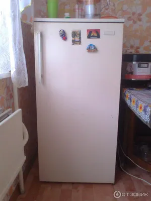 Холодильник полюс-2 — купить в Красноярске. Состояние: Б/у. Холодильники,  морозильные камеры на интернет-аукционе Au.ru