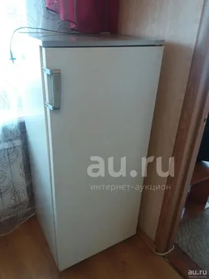 Продаю холодильник Полюс 10 в идеальном состоянии — 2 500 руб. — Общение —  Корзина — Price-Altai.ru