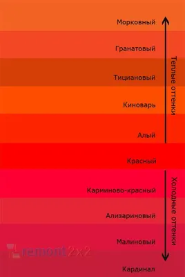 Как гармонично сочетать цвета в одежде: 10 самых простых и красивых схем |  Стиль | WB Guru