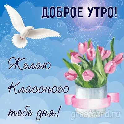 С добрым утром!🌞💐Самого хорошего дня и отличного настроения!🥰#сдобр... |  TikTok