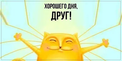 Картинки \"С Добрым Утром!\" и \"Хорошего Дня!\" (500+)