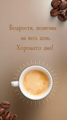 Всем доброго утра. Всем хорошего дня, хорошего и позитивного настроения! С  днем рождения Деда Мороза! - Лента новостей Запорожья