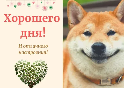 💗 Романтическая картинка хорошего дня для любимого человека! скачать  бесплатно | хорошего дня любимому | открытка, картинка 123ot