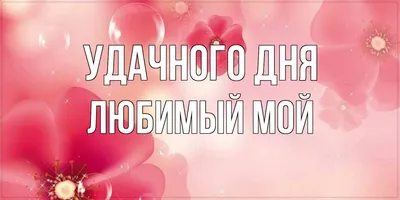 Гифки доброго дня любимая скачать бесплатно