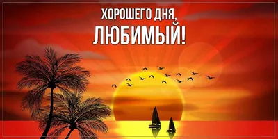 Милый! Желаю хорошего дня! Красивая открытка для Милого! Открытка на  блестящем фоне. Чай с розами. Нежные розовые розы.