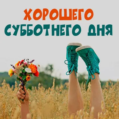 Хорошего субботнего дня! - Лента новостей ДНР