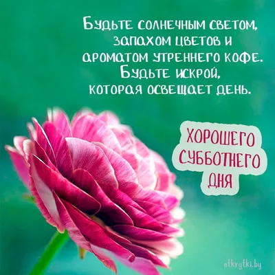 Всем доброго субботнего дня, хорошего настроения, всего самого доброго и  хорошего!