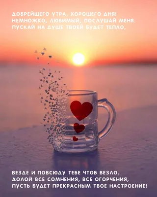 Пожелания любимому хорошего дня (27 лучших фото)