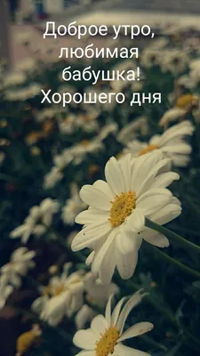 Картинки \"С Добрым Утром и Хорошего Дня!\" (461 шт.)