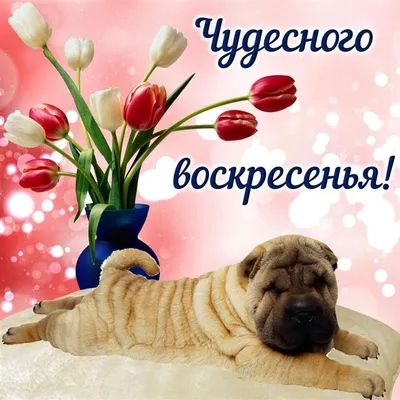 Открытка с воскресеньем, хорошего дня - GreetCard.ru