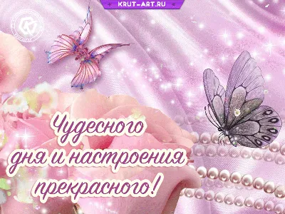 Картинки \"С Добрым Утром и Хорошего Дня!\" (461 шт.)