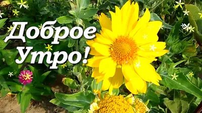 😊🌹 Доброго вторника! | Поздравления, пожелания, открытки с Рождеством! |  ВКонтакте