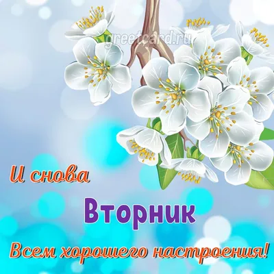 💕💕💕С Добрым Утром!💕💕💕 ПРИВЕТ, вторник! УДАЧНОГО ДНЯ и ХОРОШЕГО  НАСТРОЕНИЯ💕💕💕 - YouTube