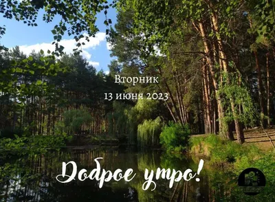 ХОРОШЕГО ВТОРНИКА! 14 ФЕВРАЛЯ. #доброе_утро #доброевидео #доброеутросп... |  TikTok