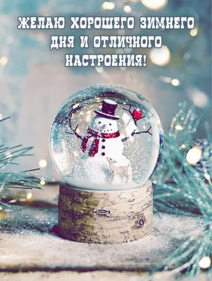 Хорошего зимнего дня! | Открытки Тедди | ВКонтакте